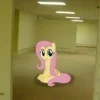 ⭐