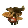 🍄