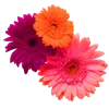 💐