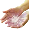 🤚