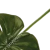 💚