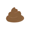 💩