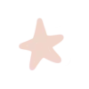 ✨