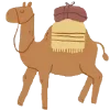 🐫