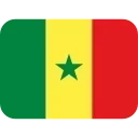 🇸🇳