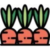 🥕