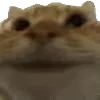 🙂‍↕️