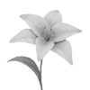 🌷