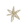 ✴️