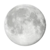 🌙
