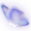 🦋
