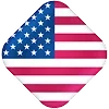 🇺🇸