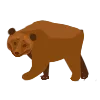 🐻