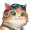 😼