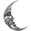🌜