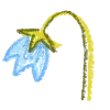 🌷