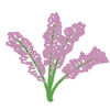 🌷