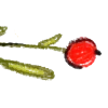 🟢
