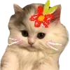 ☺