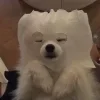 ☹