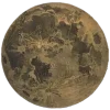 🌕