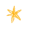 ✴️