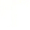🤩