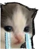 😭