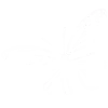🦋