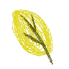 🍃