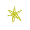 ✴️