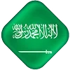 🇸🇦