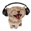 😺