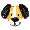 🐶