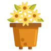 🌼