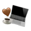 💻