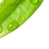 💚