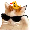 😎