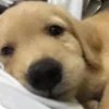 😴