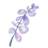 🌸