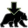 🐻