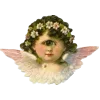 👼