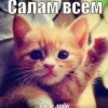 😄