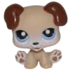 🐕