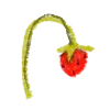 🍓