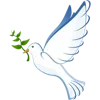 🕊️