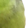 💚