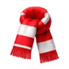 🧣