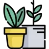 🌱