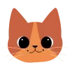 😽